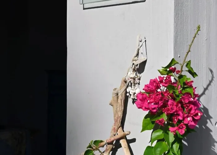 νηρηίδες Arkítsa