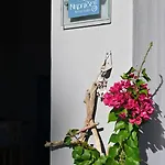 νηρηίδες Arkitsa